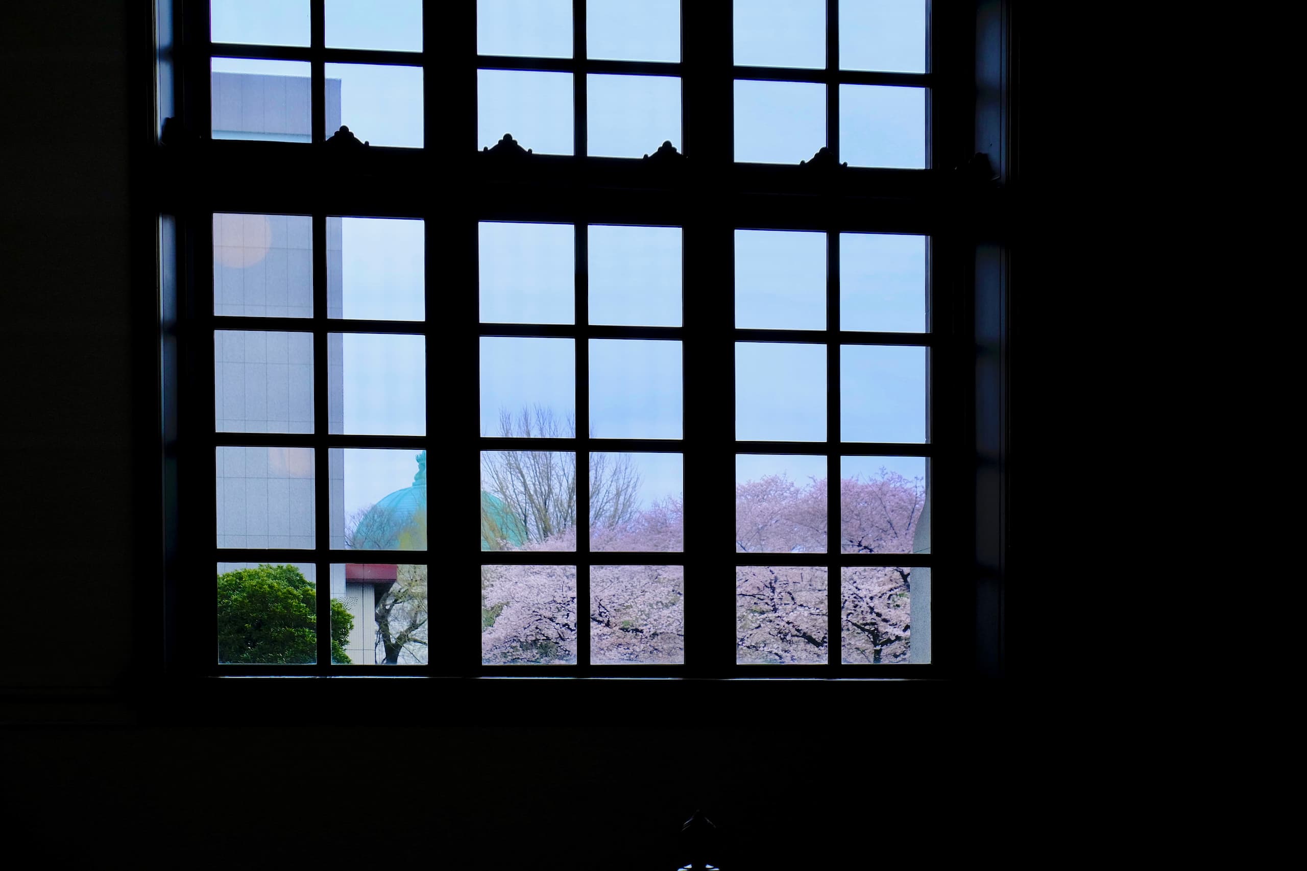 国立国会図書館国際子ども図書館の窓から外を眺めた風景。